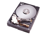 Hitachi Deskstar 7K250 160Gb 8Mb Cache SATA150 OEM HDD