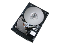 Ultrastar 10K300 - hard drive - 300 GB - Ultra320 SC