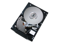 Ultrastar 10K300 - hard drive - 300 GB - Ultra320 SCSI
