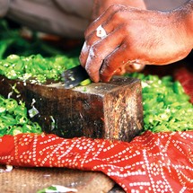 Home Cooked Delhi - Adult