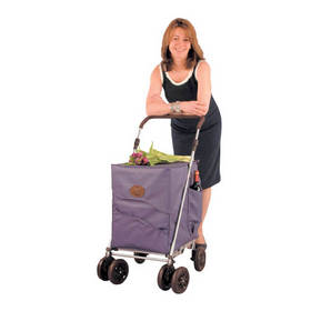 Homecraft Rolyan Sholeco Supreme Trolley