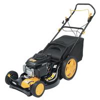 Honda GCV 160 5.5hp engine 53cm cut