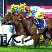 hong kong Horse Racing - Adult