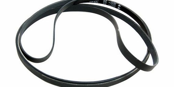 Hoover Candy Tumble Dryer Drive Belt - 1951H7. Genuine Part Number 09201208