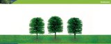 Hornby Hobbies Ltd Hornby R8901 Chile Pine 63mm Pk 3 00 Gauge Skale Scenics Professional Trees