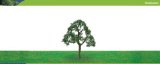 Hornby R8909 Live Oak 100mm 00 Gauge Skale Scenics Professional Trees