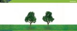 Hornby Hobbies Ltd Hornby R8914 Deciduous 100mm Pk 2 00 Gauge Skale Scenics Professional Trees