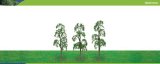 Hornby Hobbies Ltd Hornby R8918 Birch 75mm Pk 3 00 Gauge Skale Scenics Professional Trees