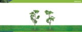 Hornby Hobbies Ltd Hornby R8919 Birch 100mm Pk 2 00 Gauge Skale Scenics Professional Trees