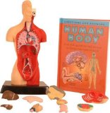 Hornby Young Scientist Anatomy