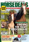 Horse Deals 1 Year By Credit/Debit Card to UK