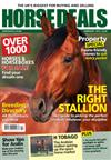 Horse Deals Annual Direct Debit - 12 Issues for