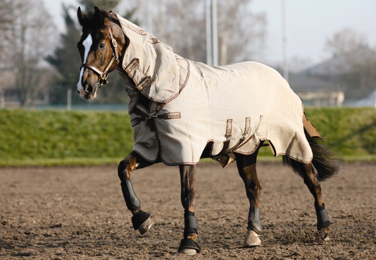 Rambo Fly Protector Fly Sheet