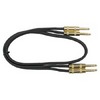 Hosa Dual Stereo Cable, 1/4 Male to 1/4 Male