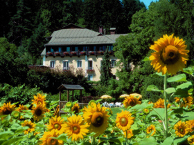 HOTEL and Spa in Austria