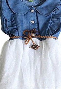 Baby Girls Child Princess Party Dress Clothes Kid Summer Denim Jeans Dress Skirt (2-3 years, white)