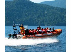 Howe Sound Sea Safari - Child Without Transfers