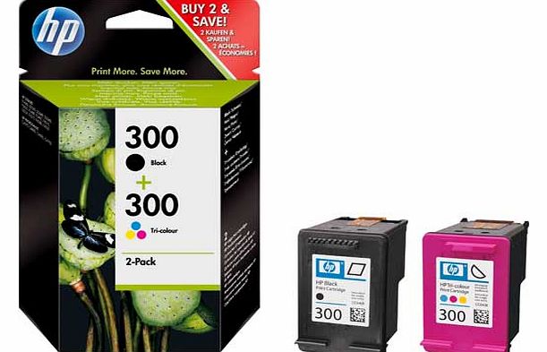 300 Black and Colour Ink Cartridge - Twin Pack