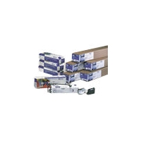 HP DesignJet CP Ink System- Black