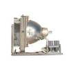 LAMP MODULE FOR XP8010 8020 PROJECTORS