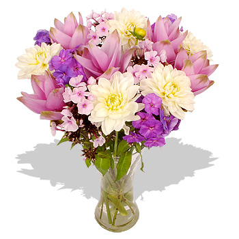 HUMMING BIRD - flowers