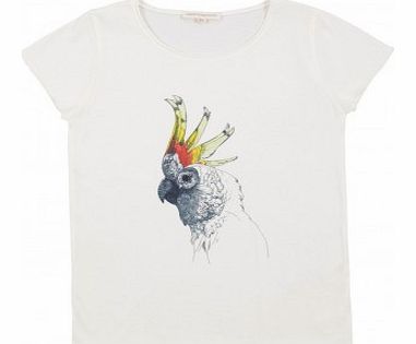 Parrot T-shirt Off white `10 years,12 years,14