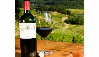 Hunter Valley Wine Experience - Child