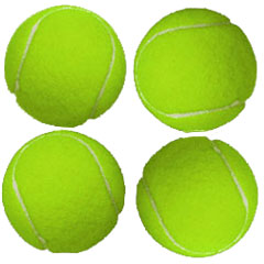 dog Replacement Balls