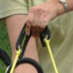 dog Replacement Band