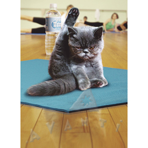 I Meditate, I do Yoga...And I Still Want To