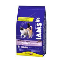 Multi Cat - Chicken & Salmon (15kg)