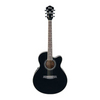 Ibanez AEL10EBK Black