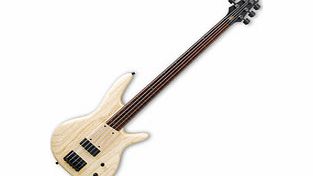 Ibanez GWB1005 Gary Willis 5-String Bass Guitar
