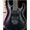 Ibanez RGA42T with Tremolo Arm (Black)