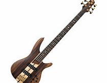 SR1805-NTF SR Series 5-String Bass Guitar