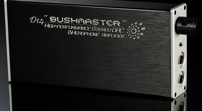 iBasso D14 Bushmaster High-Performance Stereo