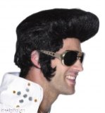 IDEAL GIFT SHOP / WIG Elvis Wig Adult Fancy Dress Extra