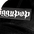 Iggy Pop/The Stooges Rectangle Logo Black