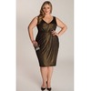 Nora Plus Size Dress in