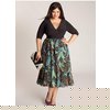 Natasha Plus Size Dress