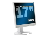 IIYAMA Pro Lite B1702S-W2 PC Monitor
