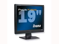IIYAMA Pro Lite P1904S-1 PC Monitor