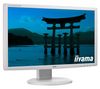 IIYAMA ProLite B2409HDS-W1