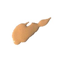 Illuminare Cosmetics Illuminare Fantastic Finish Foundation Tuscan Toast