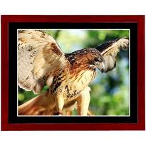 Imagin 15inch Video Photo Frame Cherry