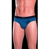 Impetus tiger brief