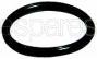 Indesit O Ring Seal