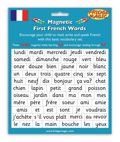 Magnetic First French Words