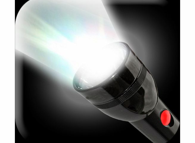 Individual Brightest Torch Light - Flash