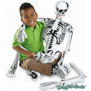 Inflatable Parts Of A Skeleton
